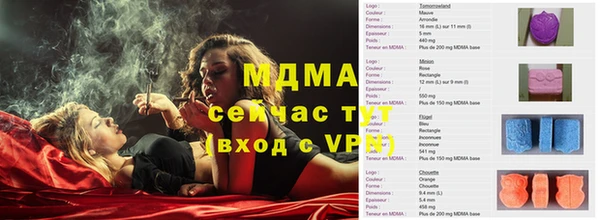 прущие грибы Переславль-Залесский