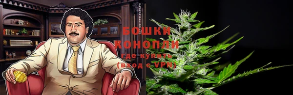 гидра Белокуриха