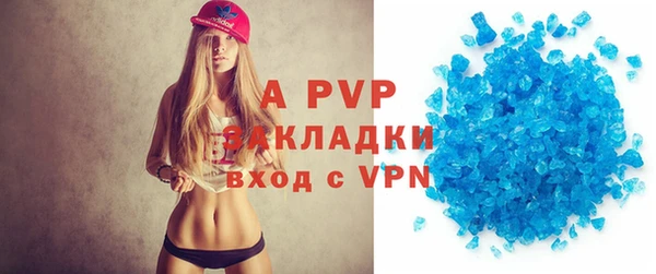 прущие грибы Переславль-Залесский