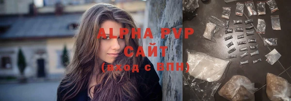 индика Покров