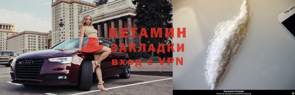 прущие грибы Переславль-Залесский