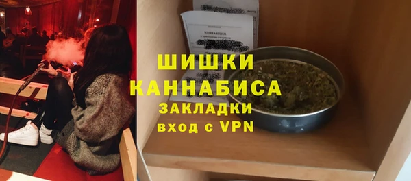 прущие грибы Переславль-Залесский