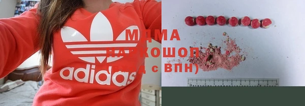 прущие грибы Переславль-Залесский